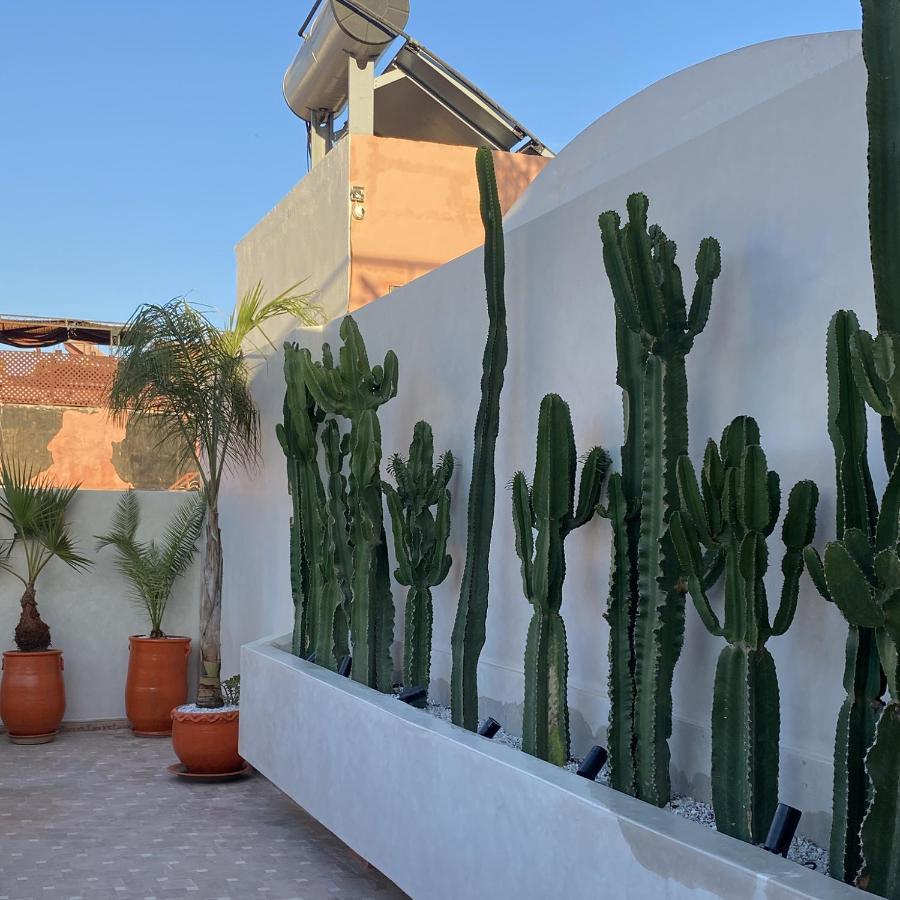 Oasissime * Marrakesch